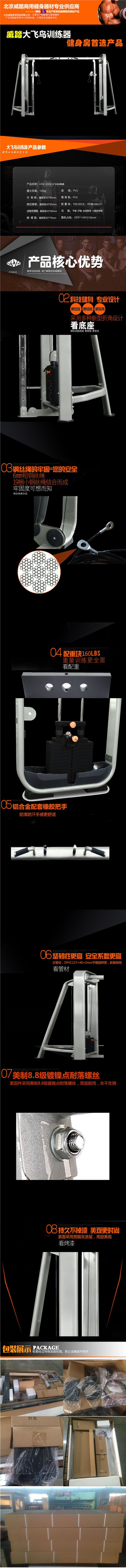大飞鸟述-1